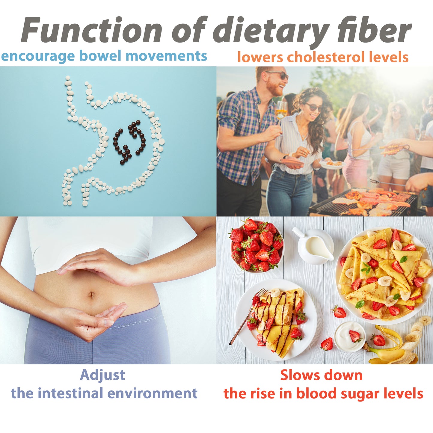 Fruit Jelly Fiber Stick – Low-Calorie Plant Fiber Snack, 20 Sticks (360g) by FINE JAPAN