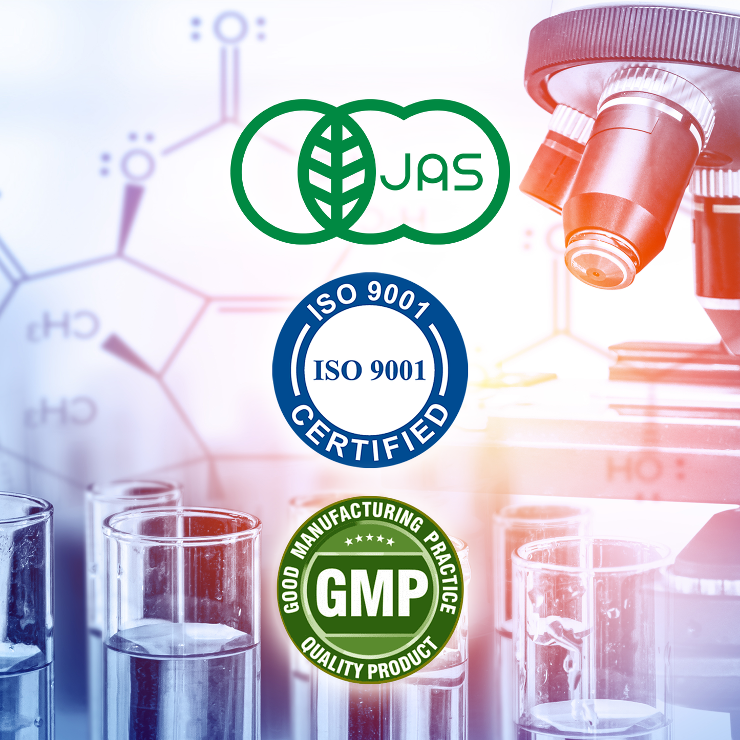 Coix Seed Extract Tablets for Radiant Skin – Beauty & Wellness Supplement, 250 Tablets (Prime Collection) by FINE JAPAN