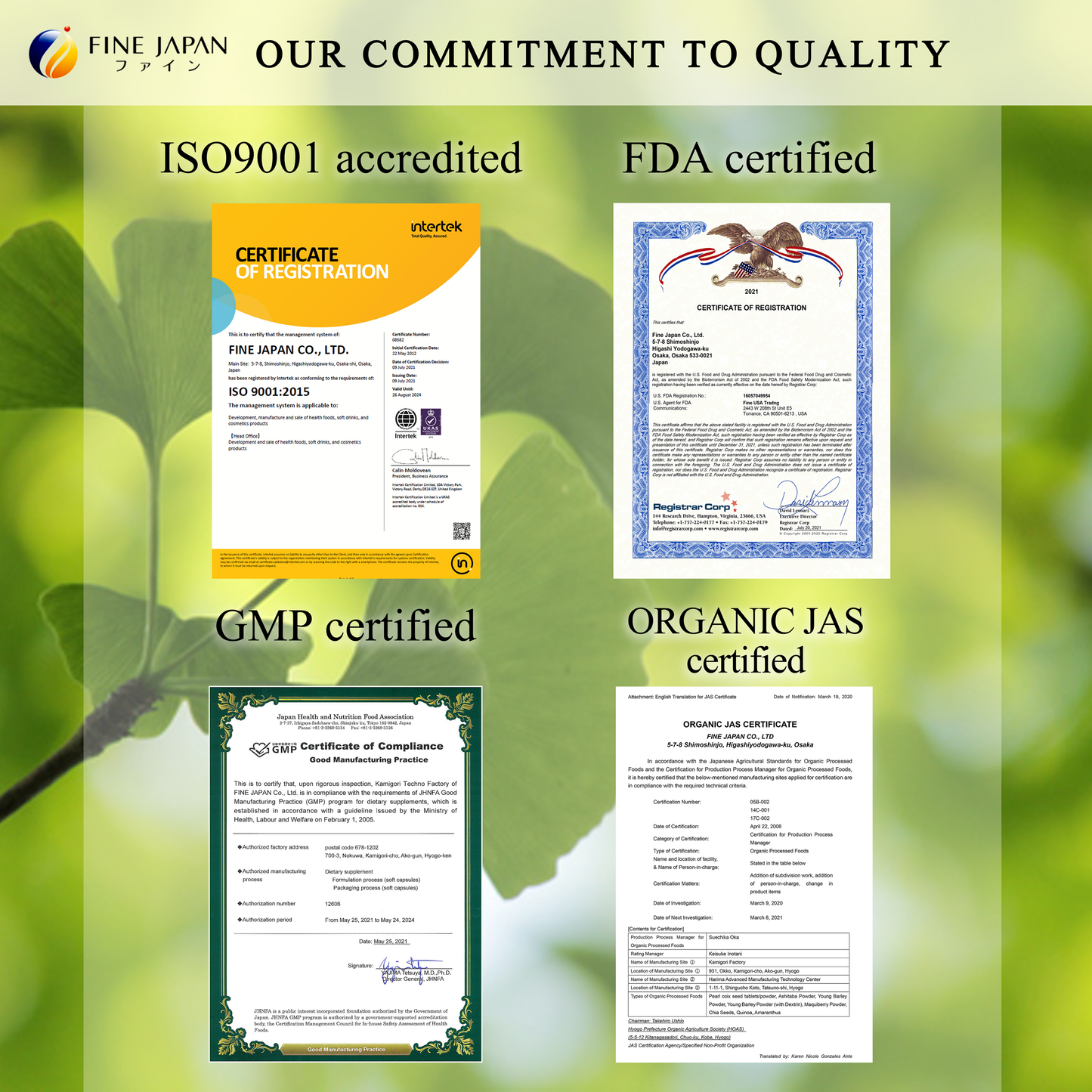 Gentle Kefir + Prebiotic Supplement – 30-Day Supply for Digestive Wellness (300 Tablets) by FINE JAPAN