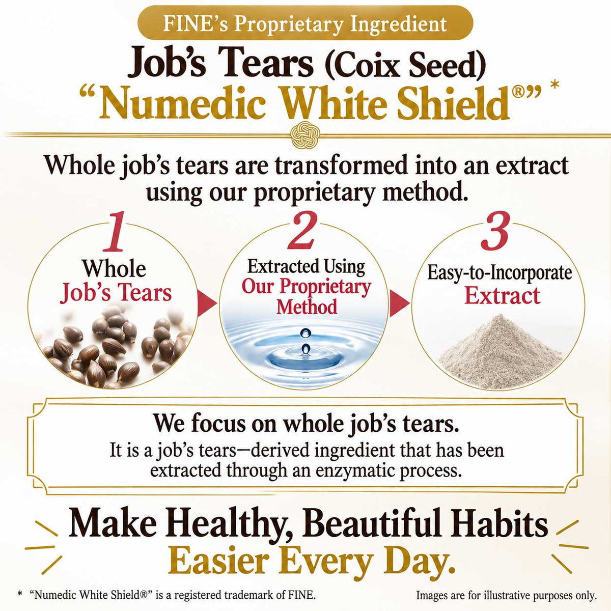 Coix Seed Treasure Beauty Supplement – 80 Chewable Tablets by FINE JAPAN