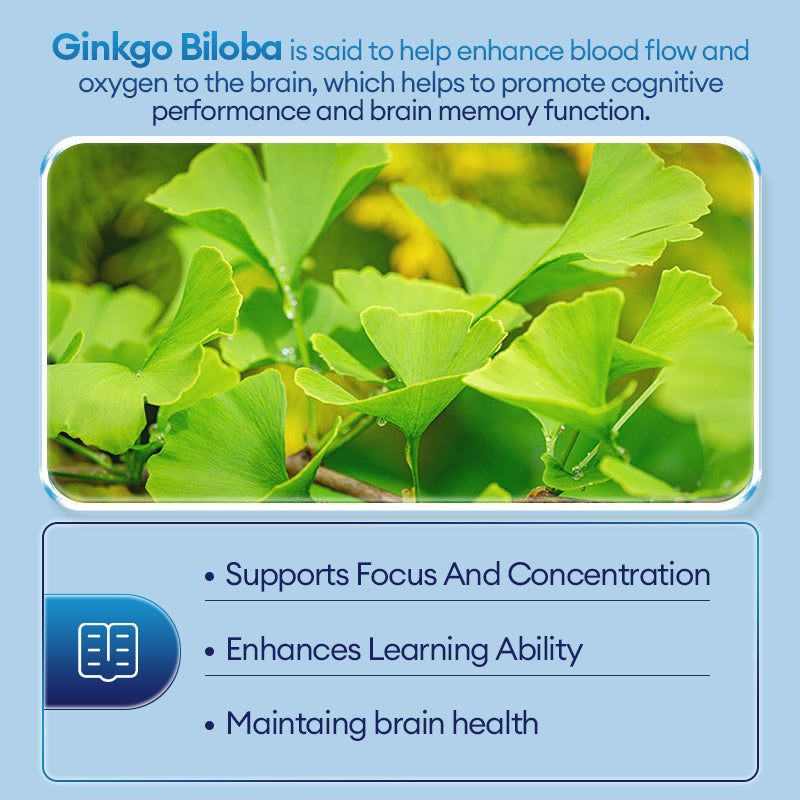 Ginkgo Biloba Extract, memory power supplement (90 tablets) by FINE JAPAN