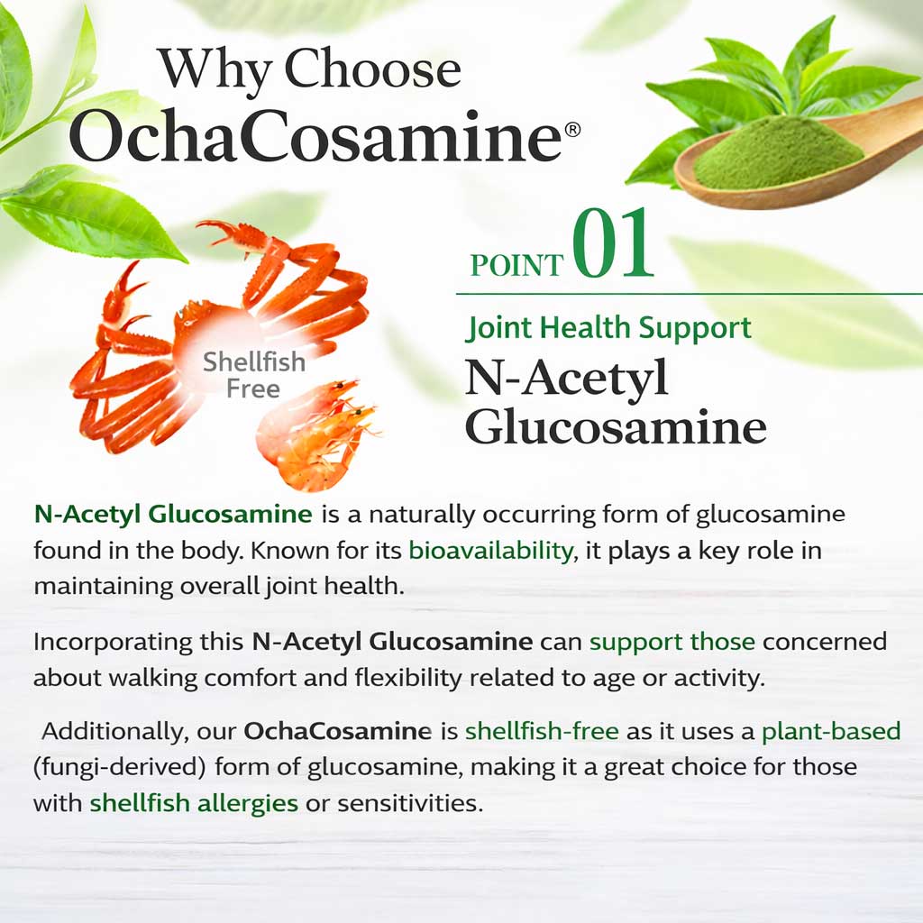 OchaCosamine Matcha Green Tea Joint Support – N-Acetyl Glucosamine 300mg Daily Knee Comfort Drink (30 Servings)by FINE JAPAN