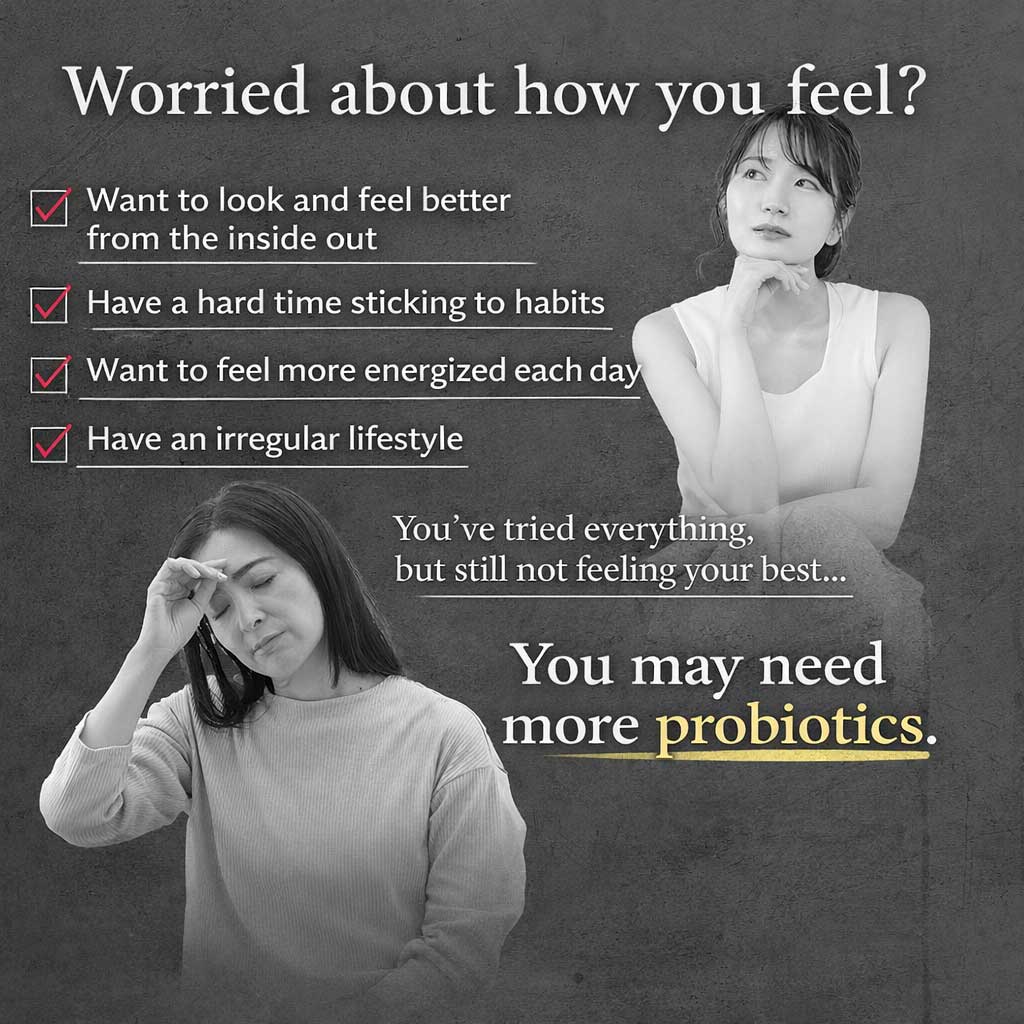 Vegitase LE Probiotic Capsules – Sterilized Lactic Acid Bacteria & Plant Fermentation Supplement | Daily Gut & Inner Beauty Support 30 Capsules (Prime Collection) by FINE JAPAN