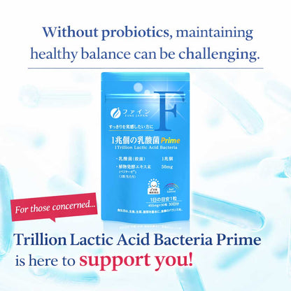 Probiotic Capsules – 1 Trillion-Level Sterilized Lactic Acid Bacteria & Plant Fermentation Blend | Daily Gut & Inner Beauty Support 30 Capsules (Prime Collection) by FINE JAPAN