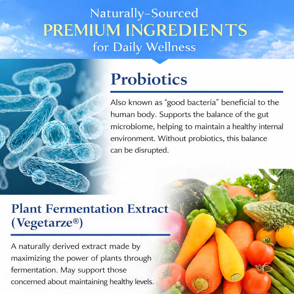 Vegitase LE Probiotic Capsules – Sterilized Lactic Acid Bacteria & Plant Fermentation Supplement | Daily Gut & Inner Beauty Support 30 Capsules (Prime Collection) by FINE JAPAN