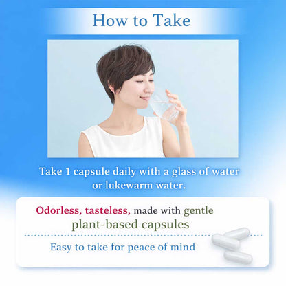 Probiotic Capsules – 1 Trillion-Level Sterilized Lactic Acid Bacteria & Plant Fermentation Blend | Daily Gut & Inner Beauty Support 30 Capsules (Prime Collection) by FINE JAPAN