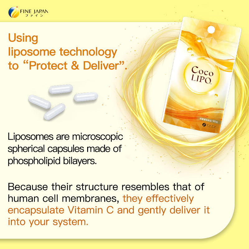 Liposomal Vitamin C with Fine Aging Care – High Absorption Vitamin C Supplement (90 Capsules, 30-Day Supply) by FINE JAPAN