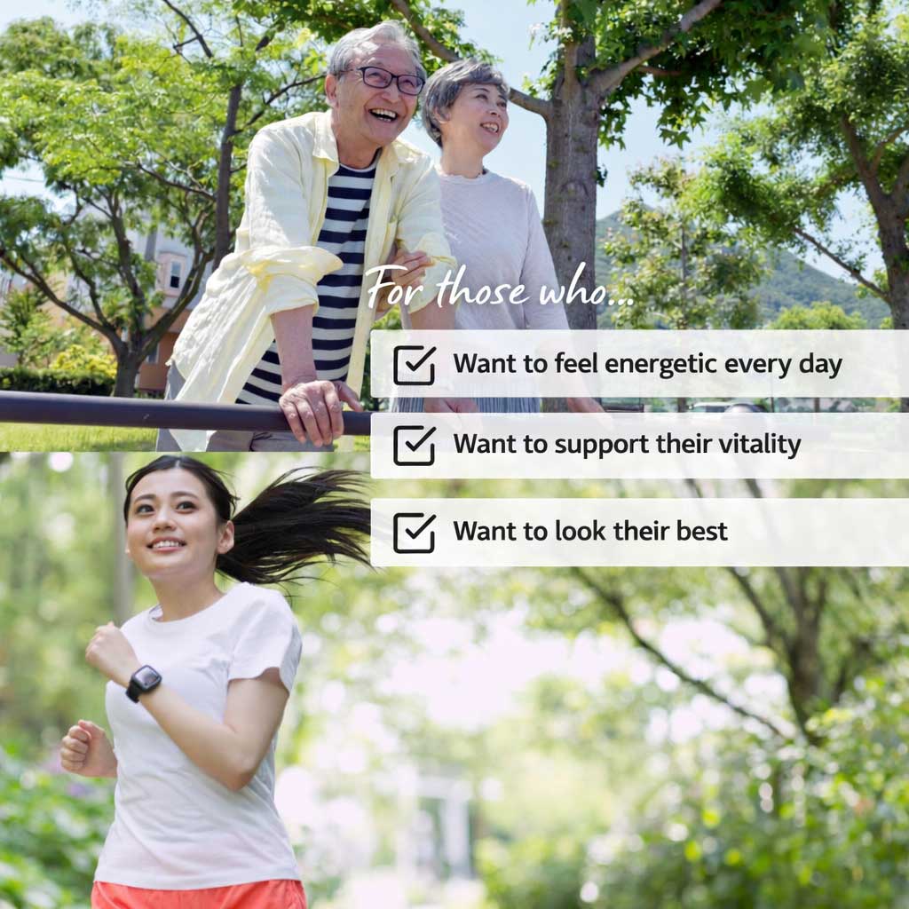 Deep Sea Shark Squalene with Placenta Extract – 180 Tablets (Prime Collection) by FINE JAPAN