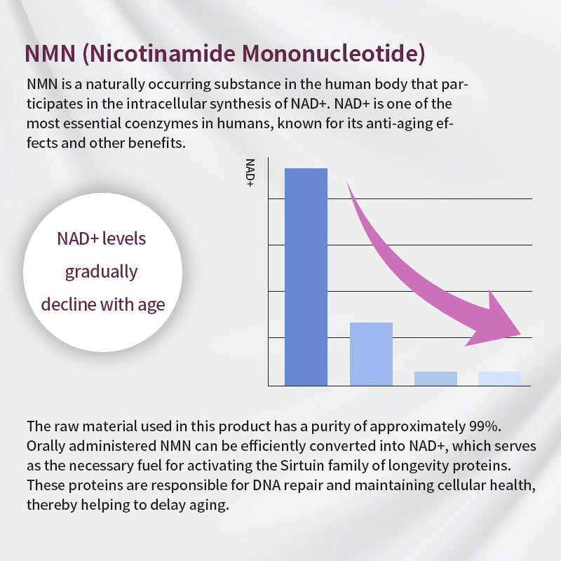 FINE Autophagy ReCell – 90 Capsules (33.3 g) by FINE JAPAN