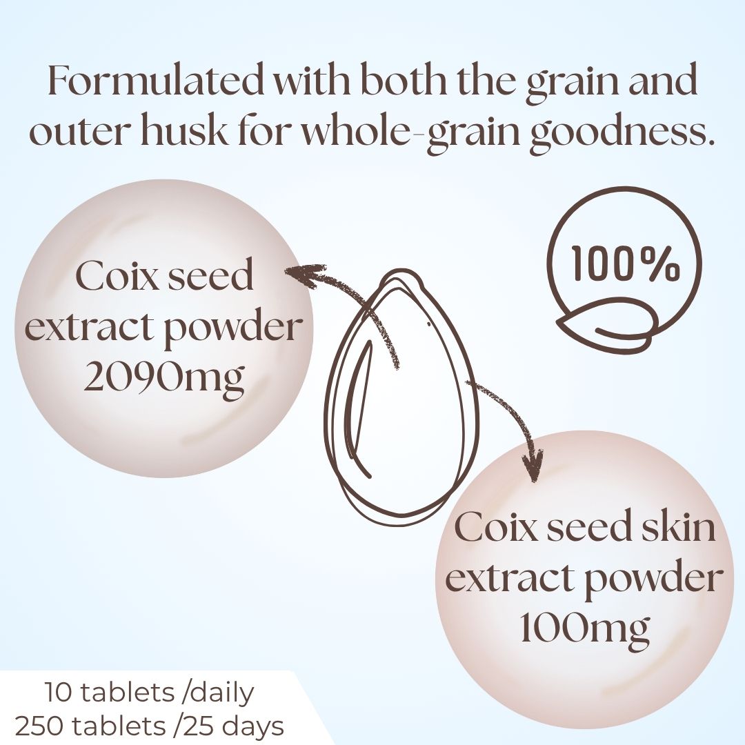 Coix Seed Extract Tablets for Radiant Skin – Beauty & Wellness Supplement, 250 Tablets (Prime Collection) by FINE JAPAN