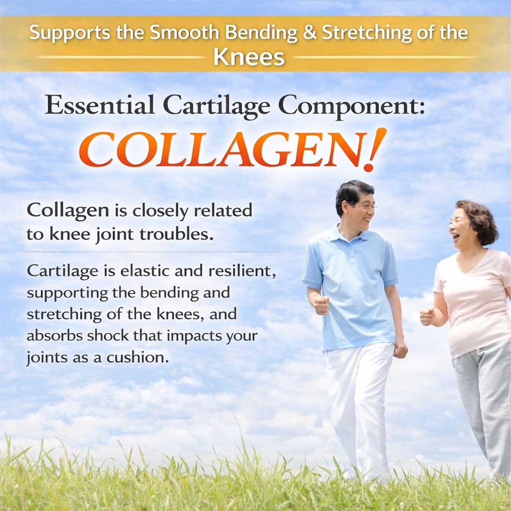 Premium Collagen Glucosamine Chondroitin, Undenatured type II collagen UC-Ⅱ by FINE JAPAN