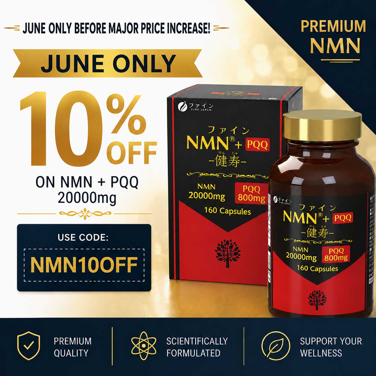 NMN + PQQ 160 Capsules Advanced Brain Support and Cellular Energy Formula with Resveratrol and Vitamin C by FINE JAPAN