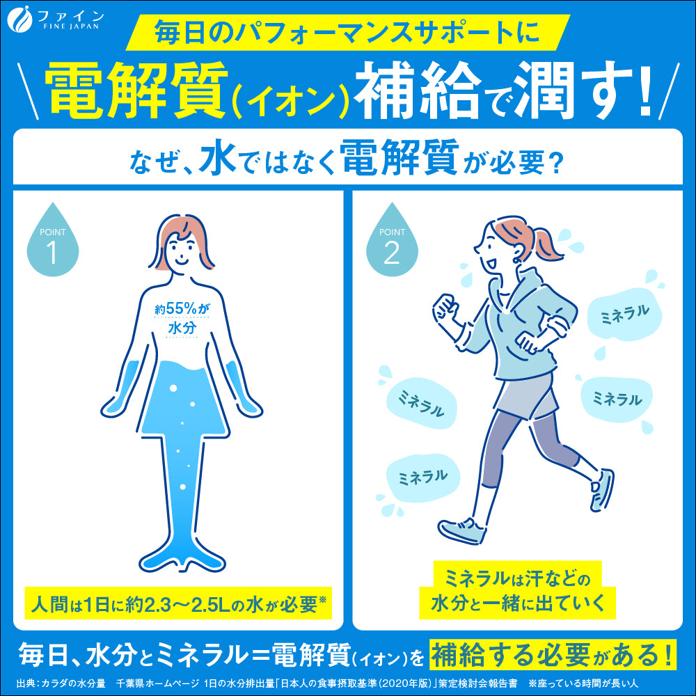 6-Flavor Electrolyte Drink set for All Ages – Sugar-Free Rehydration Supplement by FINE JAPAN