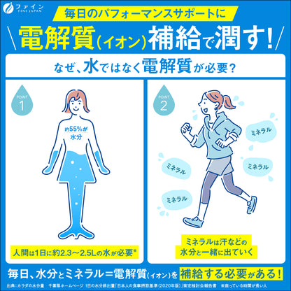 6-Flavor Electrolyte Drink set for All Ages – Sugar-Free Rehydration Supplement by FINE JAPAN