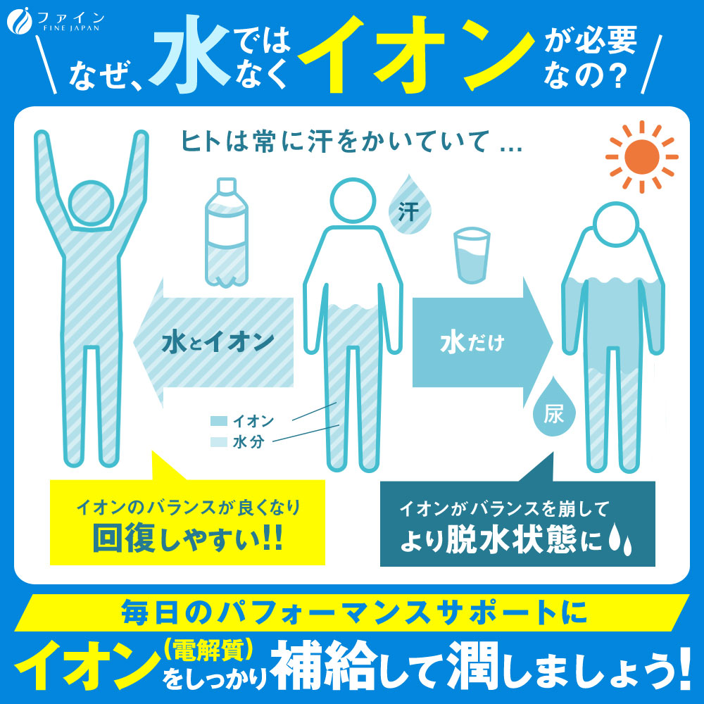 6-Flavor Electrolyte Drink set for All Ages – Sugar-Free Rehydration Supplement by FINE JAPAN