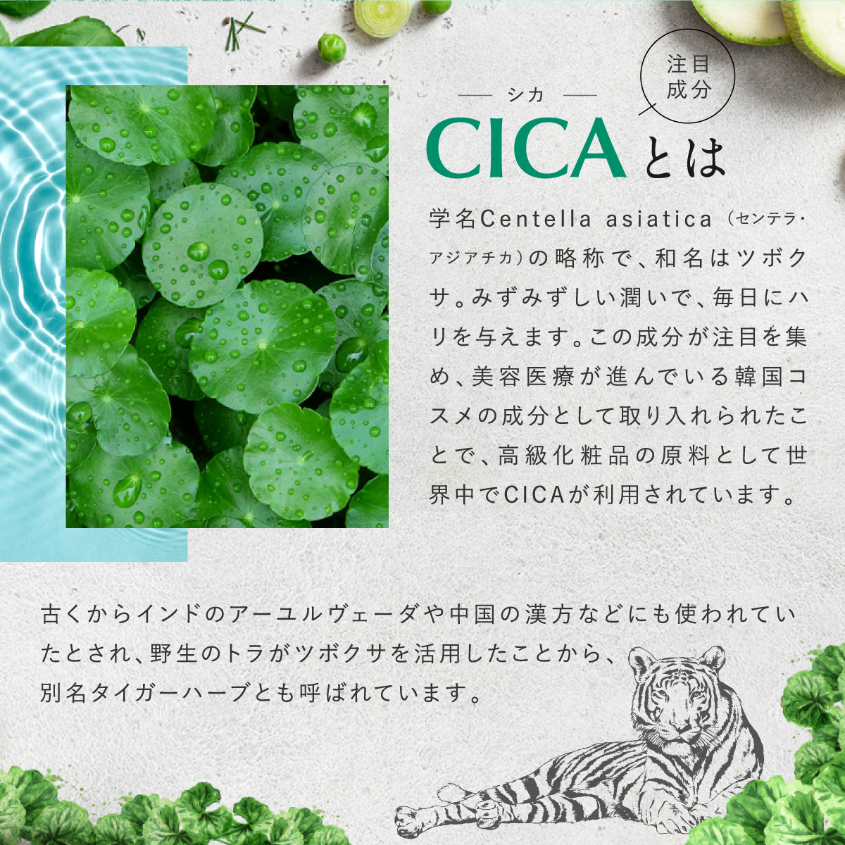CICA (120 Tablets x 2 Packs) by FINE JAPAN