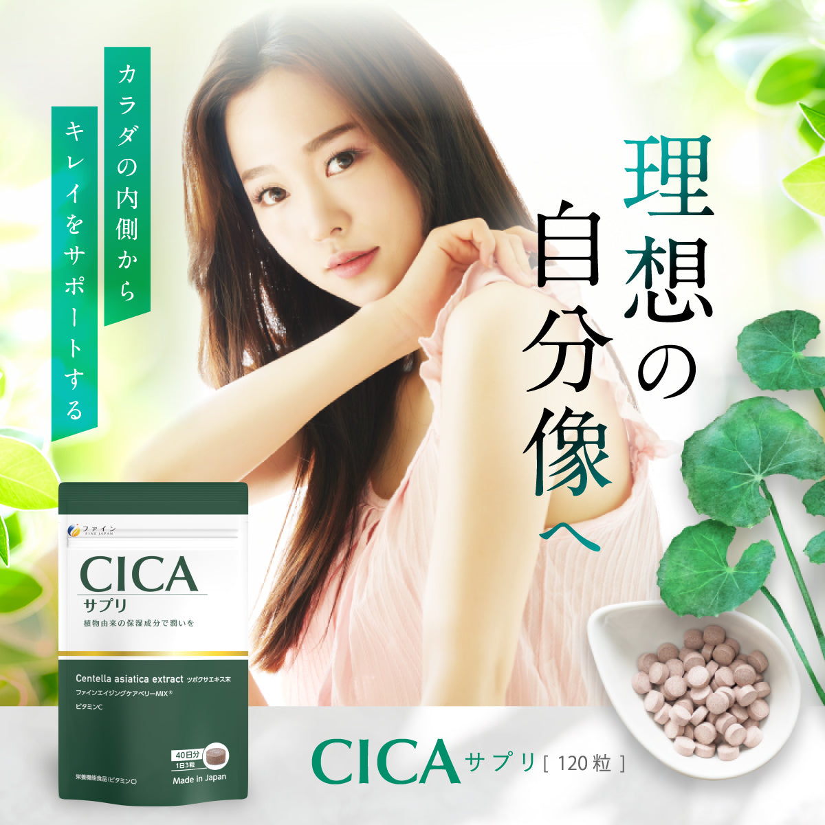 CICA (120 Tablets x 2 Packs) by FINE JAPAN