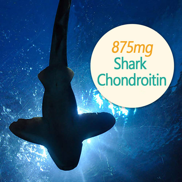 Shark Cartilage Chondroitin, Sụn Cá Mập, Bone and Joint Supplement by FINE JAPAN